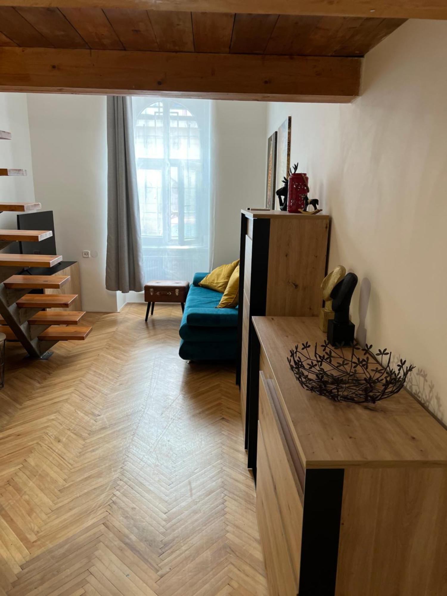 Apartment Plus Parking Brno Eksteriør billede